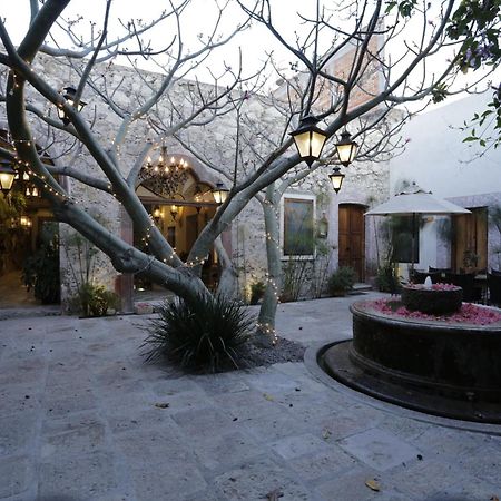 Orchid House San Miguel De Allende Dış mekan fotoğraf
