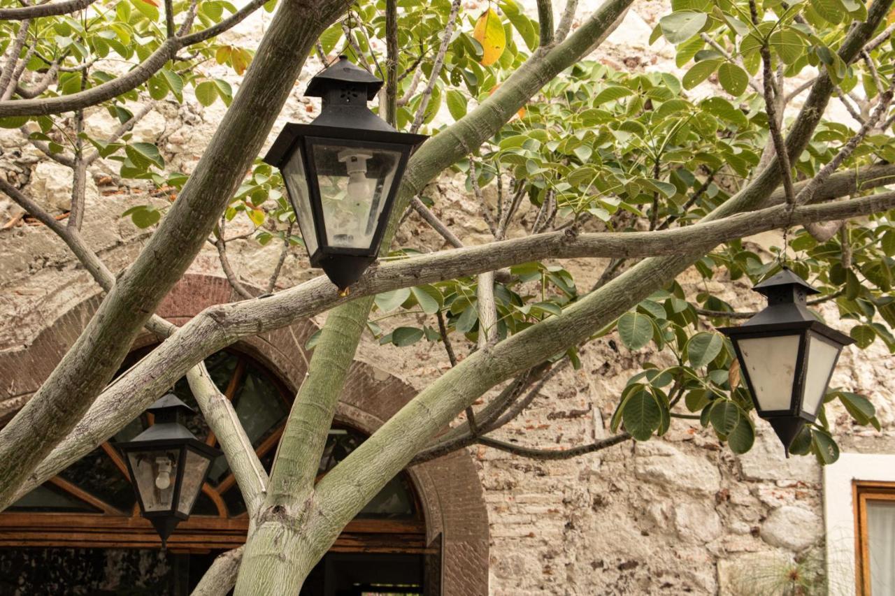 Orchid House San Miguel De Allende Dış mekan fotoğraf