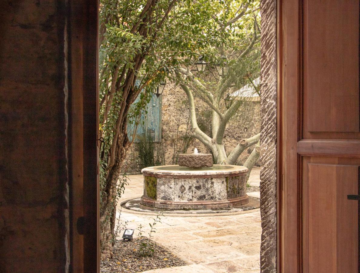 Orchid House San Miguel De Allende Dış mekan fotoğraf