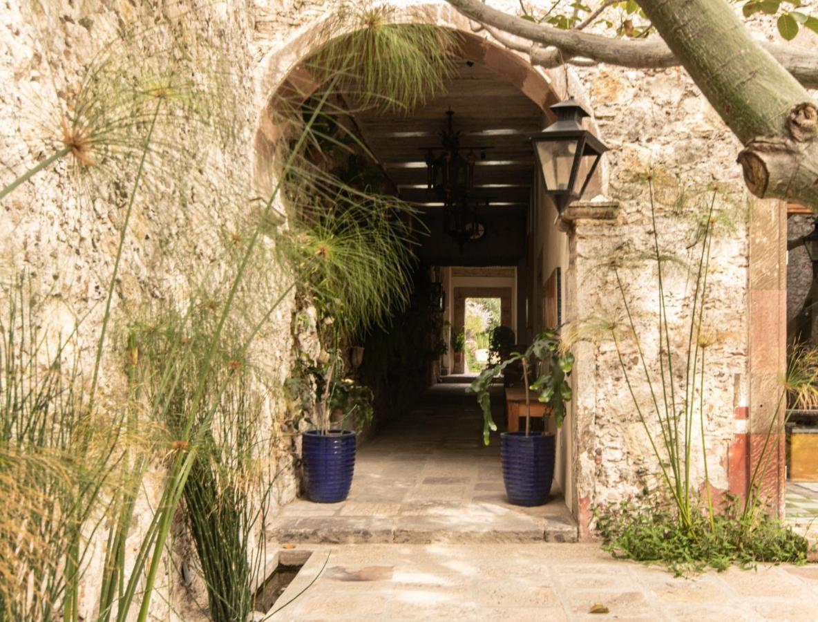 Orchid House San Miguel De Allende Dış mekan fotoğraf