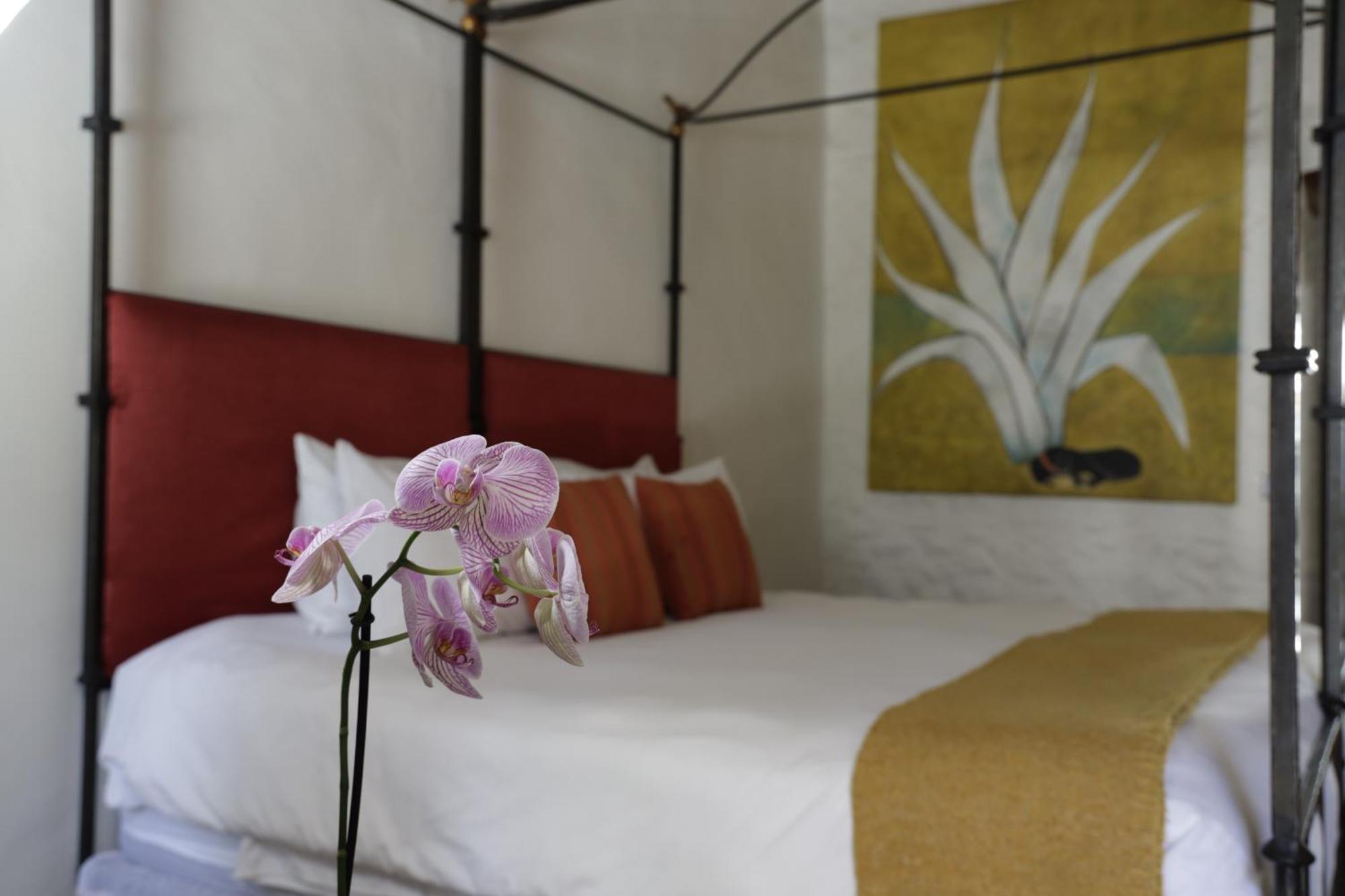 Orchid House San Miguel De Allende Dış mekan fotoğraf