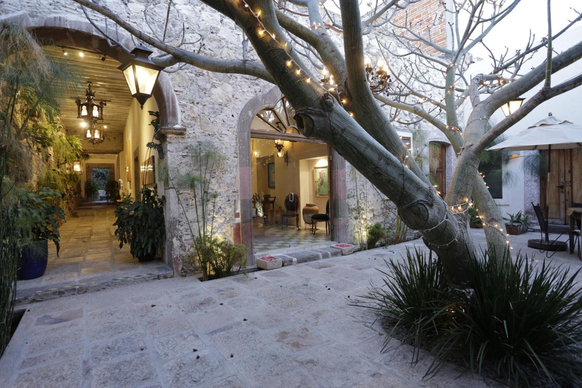 Orchid House San Miguel De Allende Dış mekan fotoğraf