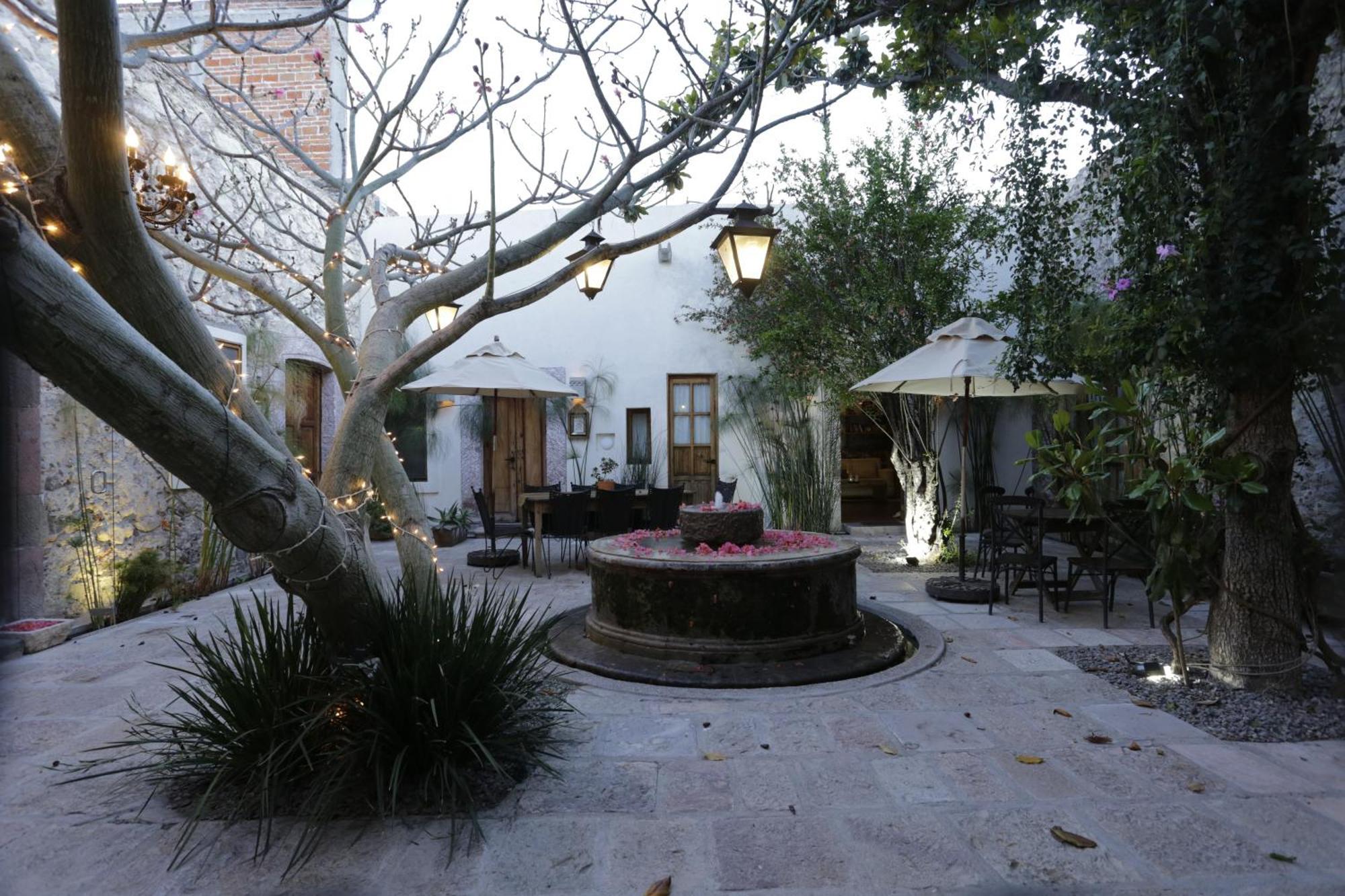 Orchid House San Miguel De Allende Dış mekan fotoğraf