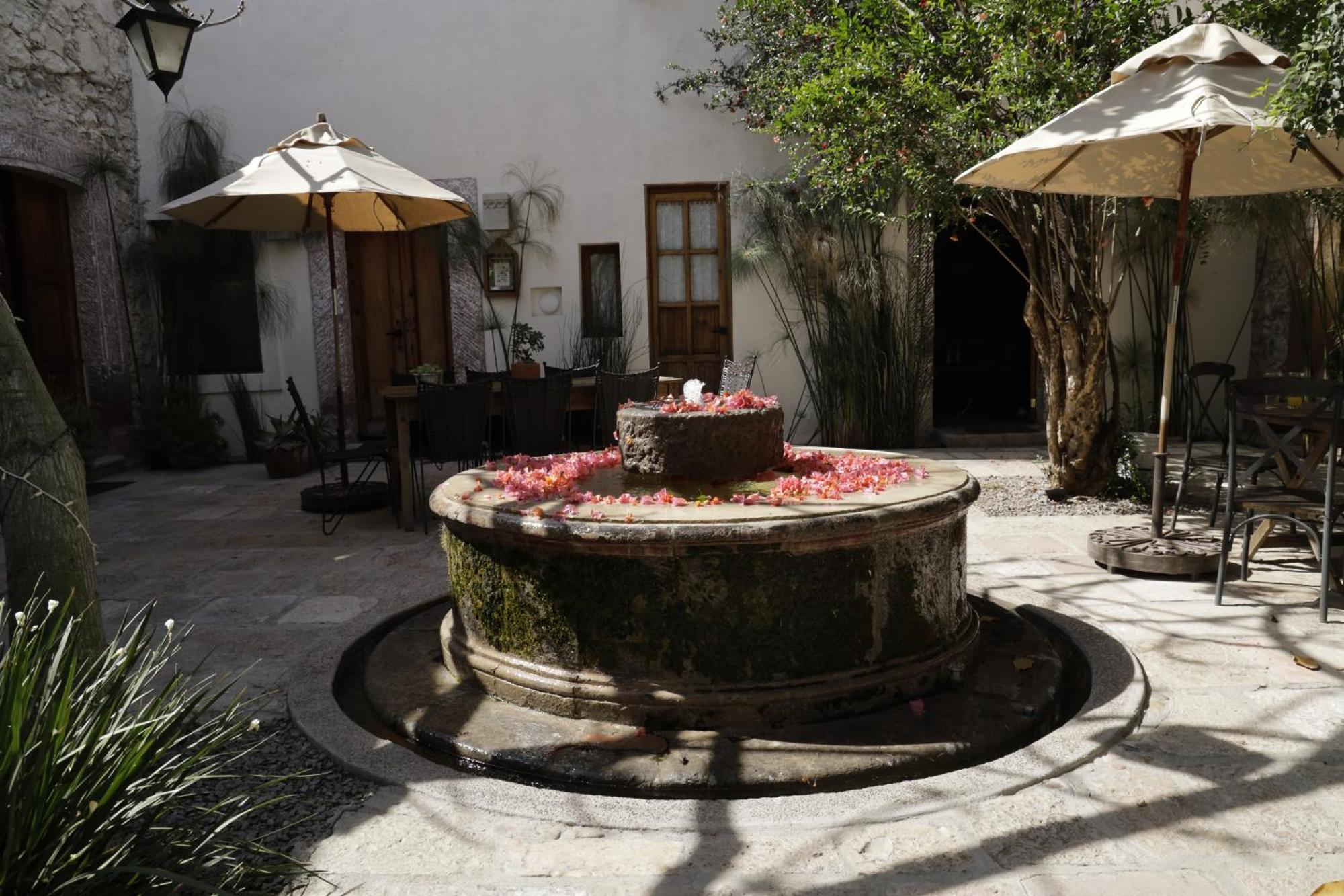 Orchid House San Miguel De Allende Dış mekan fotoğraf