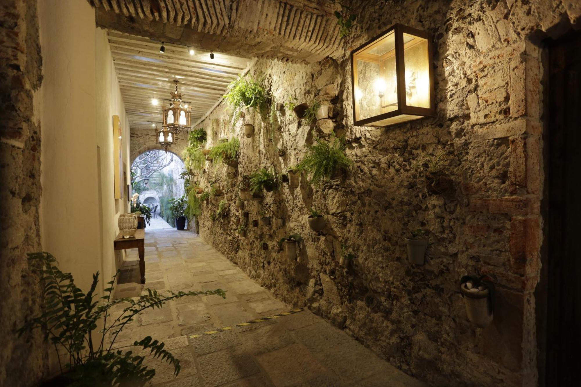 Orchid House San Miguel De Allende Dış mekan fotoğraf