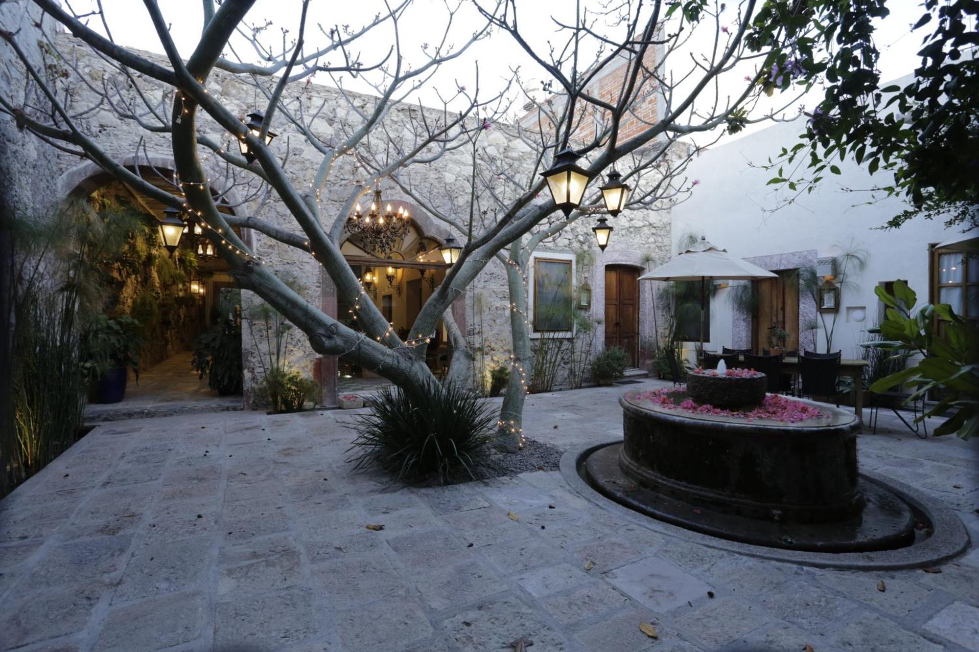 Orchid House San Miguel De Allende Dış mekan fotoğraf