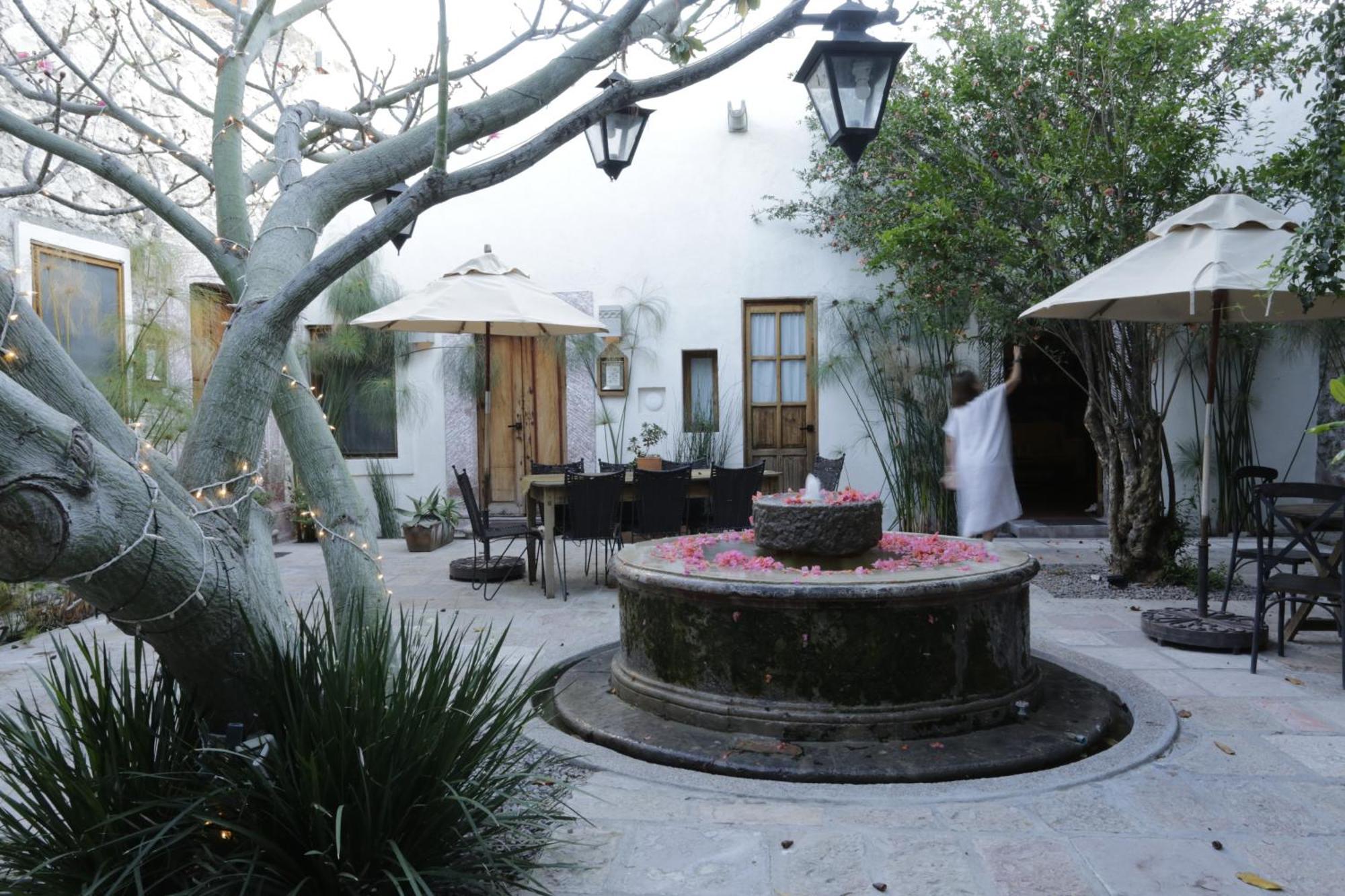 Orchid House San Miguel De Allende Dış mekan fotoğraf