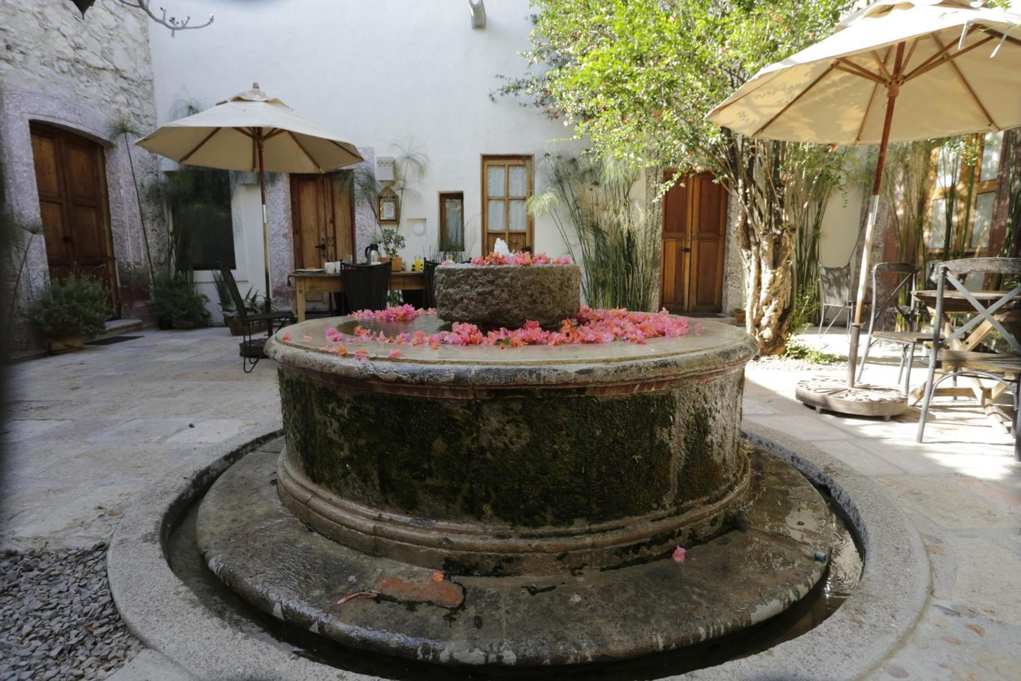 Orchid House San Miguel De Allende Dış mekan fotoğraf