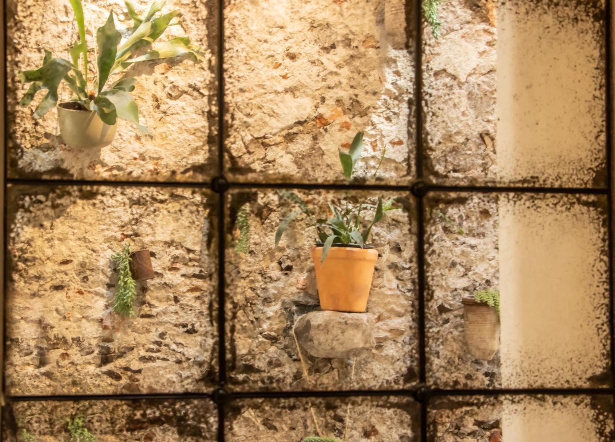 Orchid House San Miguel De Allende Dış mekan fotoğraf