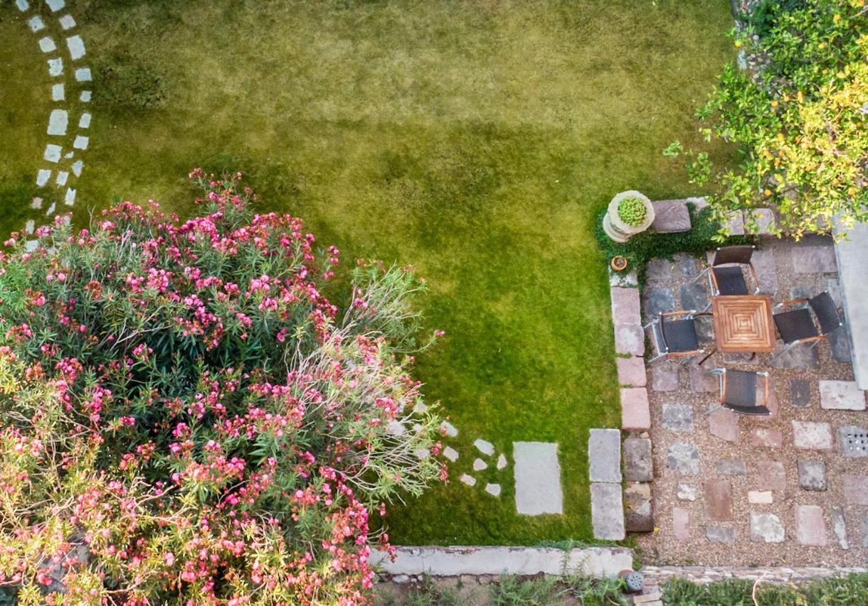 Orchid House San Miguel De Allende Dış mekan fotoğraf