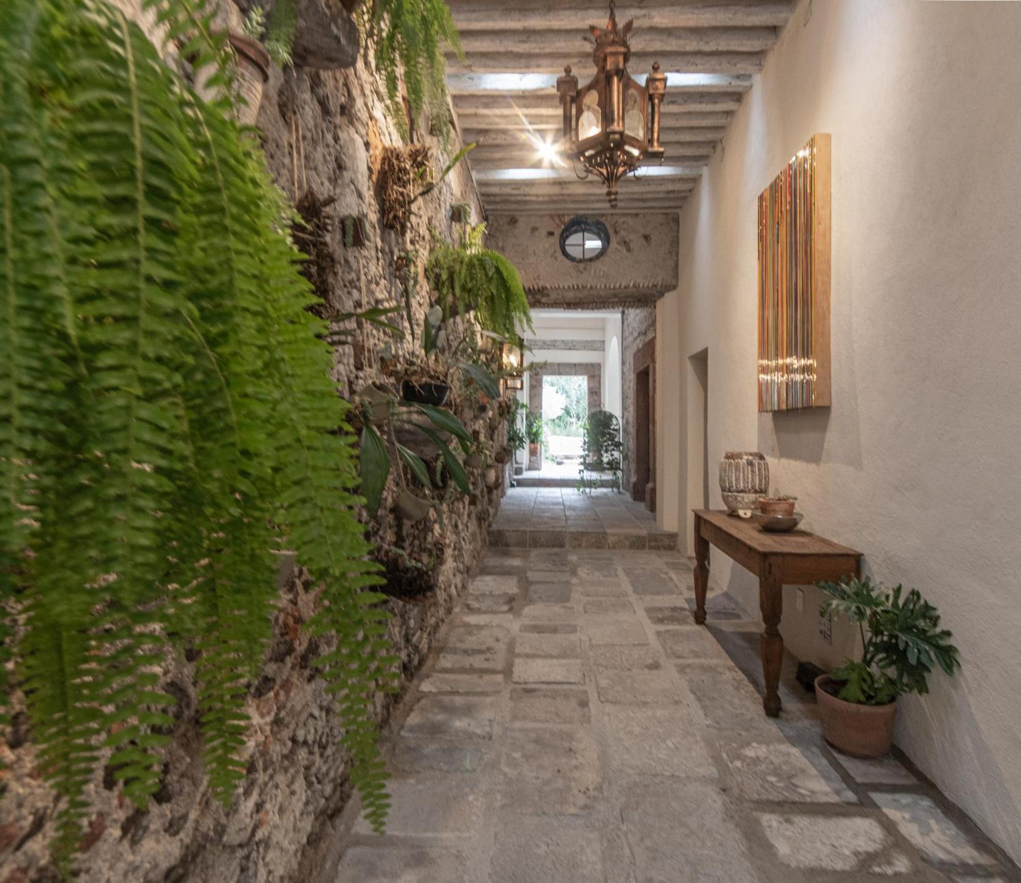 Orchid House San Miguel De Allende Dış mekan fotoğraf