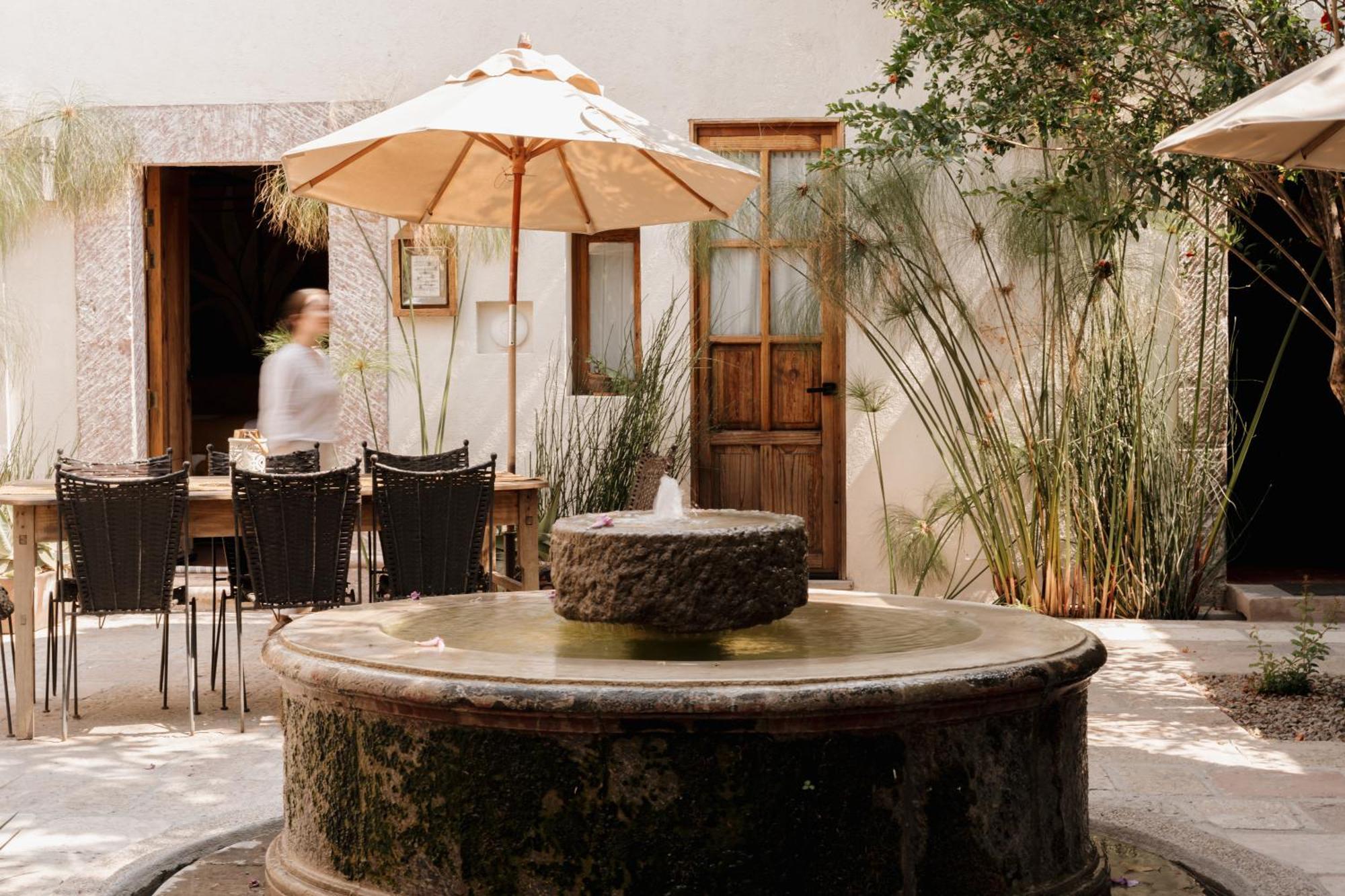 Orchid House San Miguel De Allende Dış mekan fotoğraf