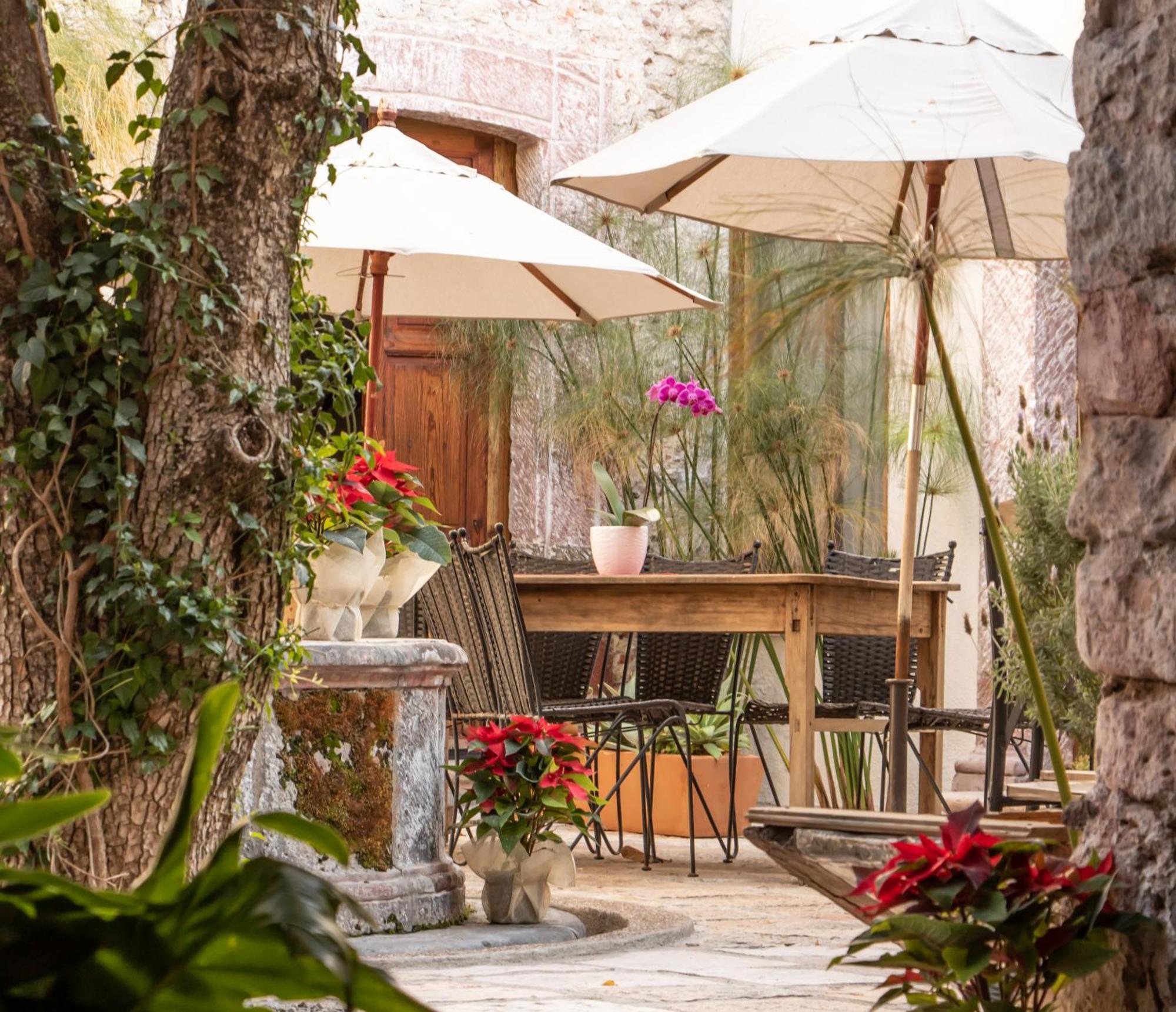 Orchid House San Miguel De Allende Dış mekan fotoğraf